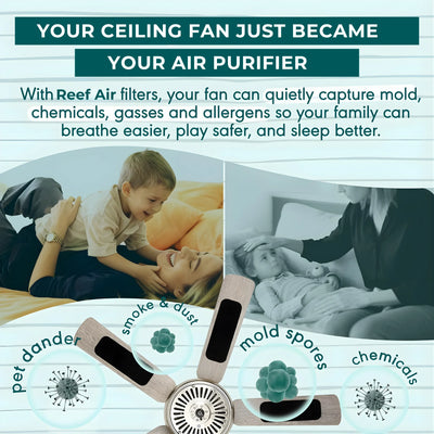 Essential Ceiling Fan Filters