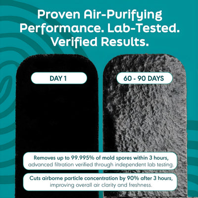 Essential Ceiling Fan Filters